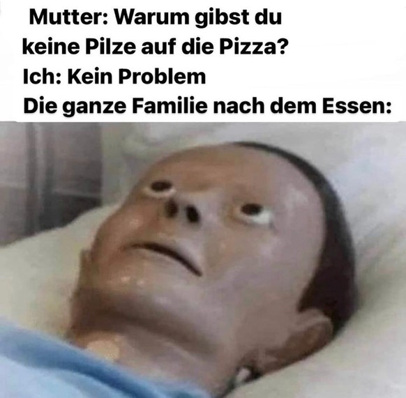 PICDUMP 397 – der letzte dieses Jahr! Und besonders lustig! Vielleicht!\nPilze sammeln Level Nico/Corsin.