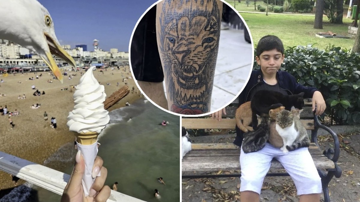 An-alle-Pechv-gel-da-draussen-diese-Fails-sind-nur-f-r-euch-