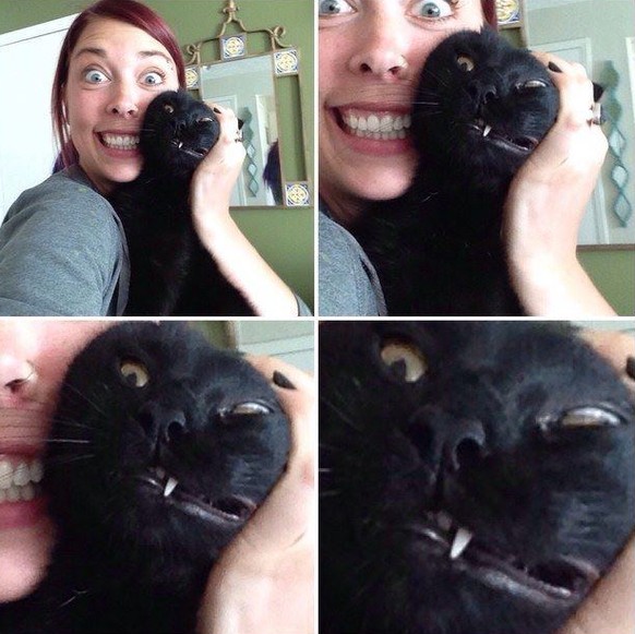 Katze ist nur minim gestresst.
Cute News
https://imgur.com/gallery/KzPYi