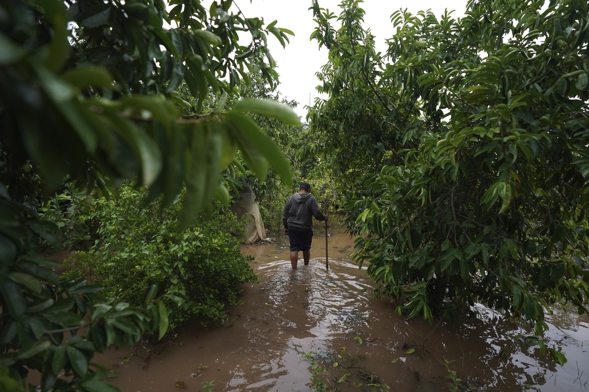 Carlos Martinez walk in his flooded back yard in the aftermath of Hurricane Orlene in Isla del Bosque, Mexico, Monday, Oct. 3, 2022. Hurricane Orlene made landfall on Mexico's Pacific coast near  ...