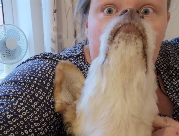 These images will destroy your brain