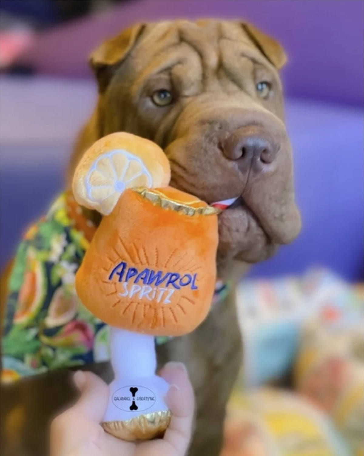 Lustiges Hundespielzeug als Weihnachtsgeschenk für Hunde