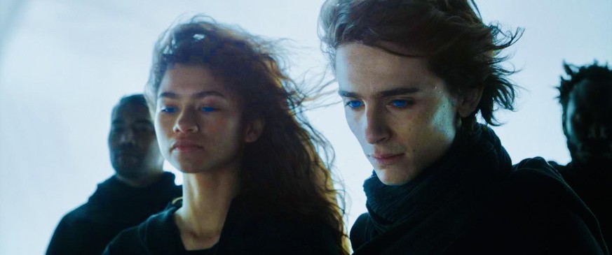 Wallendes Haar: So sieht es aus, wenn Chalamet von Zendaya träumt.