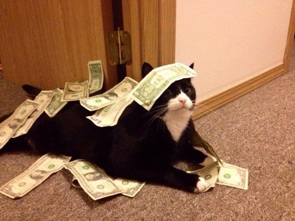 Katze mit Geld.
http://imgur.com/gallery/uCKlPXG
