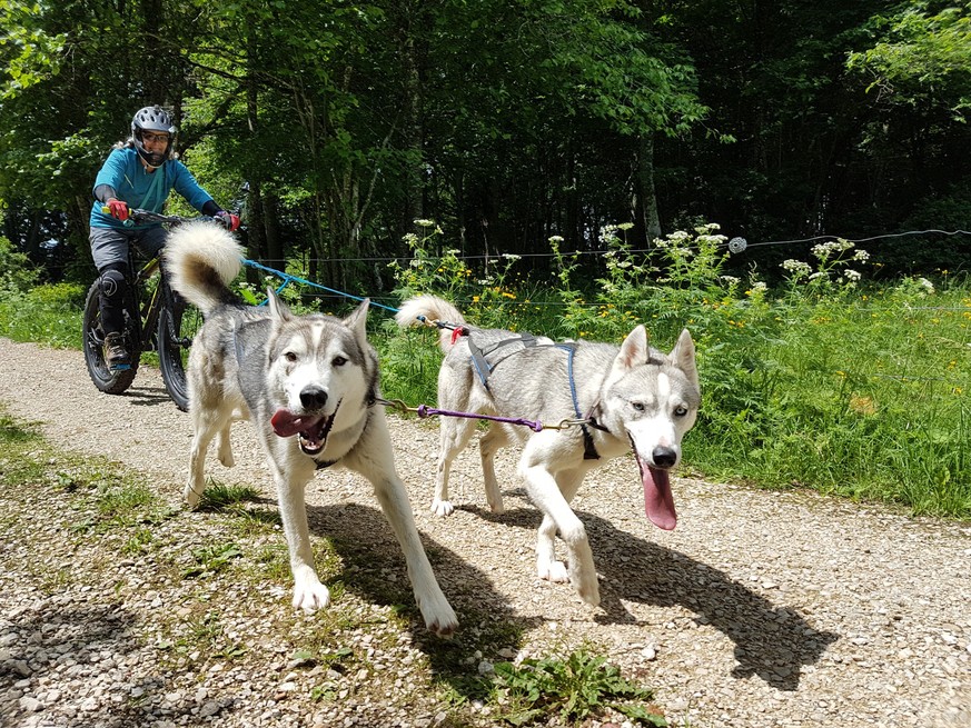 Rauszeit Aktivitäten ohne Schnee Winter Fatbike Husky Jura