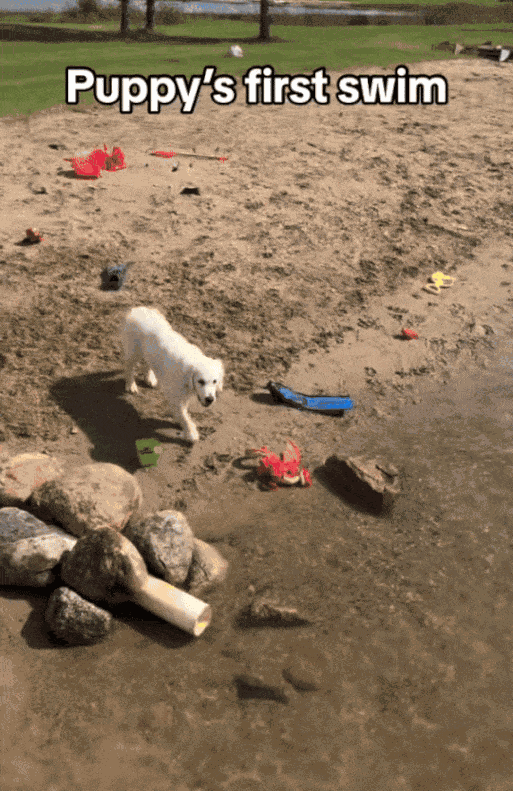 Animiertes GIF
