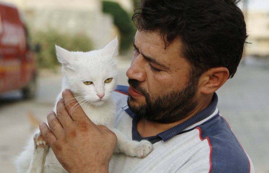 Scharen flüchten aus Aleppo – dieser Mann bleibt und kümmert sich um die verlassenen Katzen