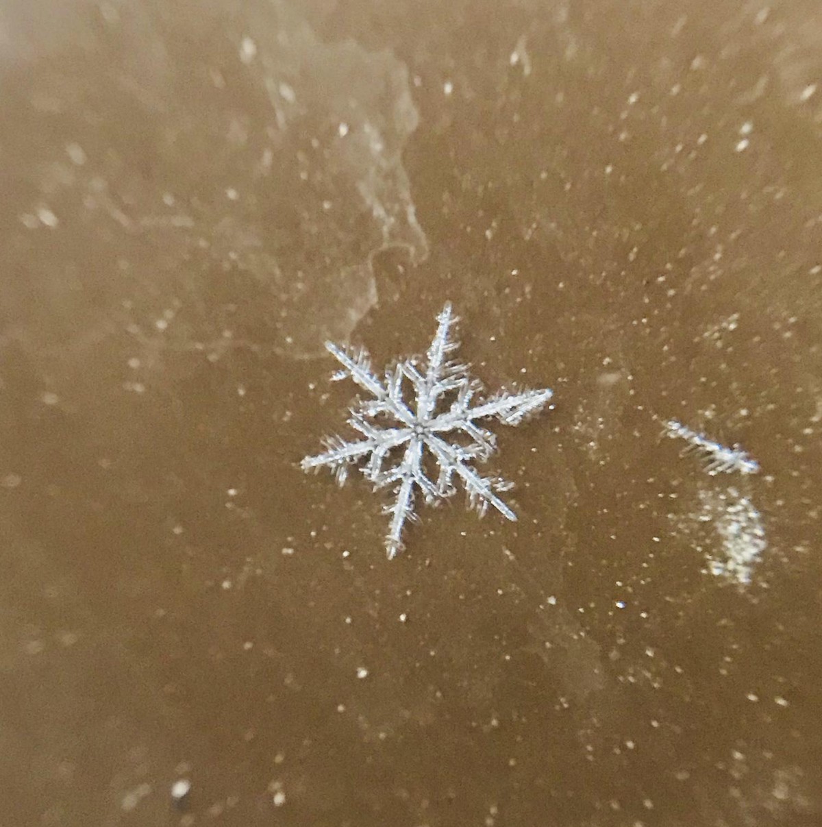 Schneeflocke