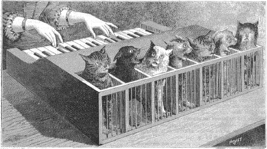 Katzen-Piano