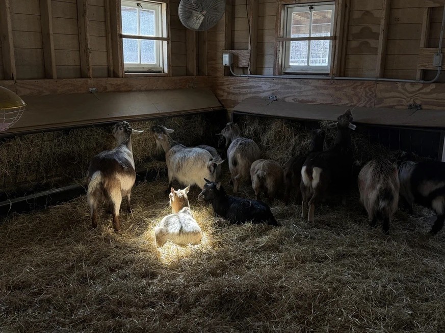 AccidentalRenaissance
The chosen one

https://www.reddit.com/media?url=https%3A%2F%2Fpreview.redd.it%2Fthe-chosen-one-v0-8tdrmjc2g4pg1.jpeg%3Fwidth%3D1080%26crop%3Dsmart%26auto%3Dwebp%26s%3D842f610f0c ...