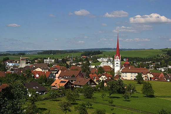 Auf einem Hof in Beromünster (LU) wurde am Dienstagnachmittag ein 64-jähriger Landwirt tot aufgefunden.&nbsp;