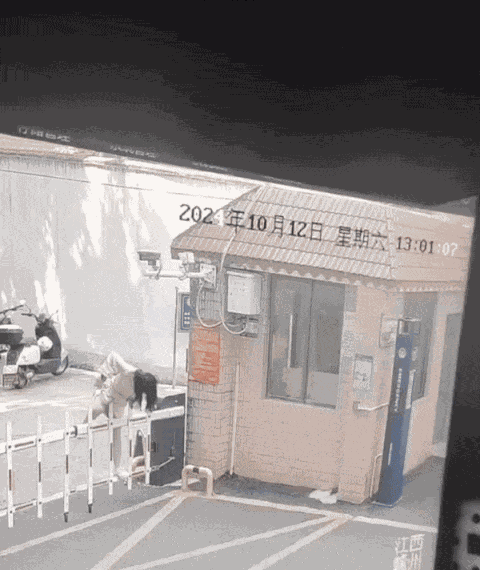 Animiertes GIF