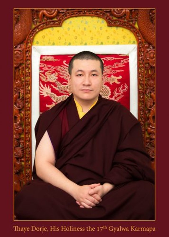 Thaye Dorje war seit seiner Kindheit als Karmapa Lama verehrt worden.