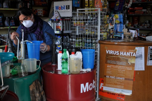 FILE - A woman works at her shop in Epuyen, Argentina, Friday, Jan. 11, 2019, after an outbreak of hantavirus. (AP Photo/Gustavo Zaninelli, File)
South Africa Hantavirus