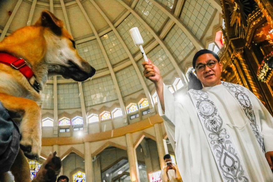 October 4, 2022, Antipolo, Philippines: A priest blesses a dog during the celebration of World Animal Day. World Animal Day is a yearly event celebrated every 4th of October, the feast day of Francis  ...