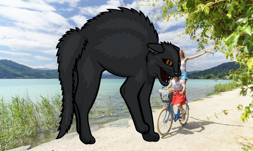 Das von der IT-Sicherheitsfirma Talos kreierte Logo für die «BlackCat»-Hackergruppe prangt vor einem Tourismus-Bild, das den Wörthersee zeigt.