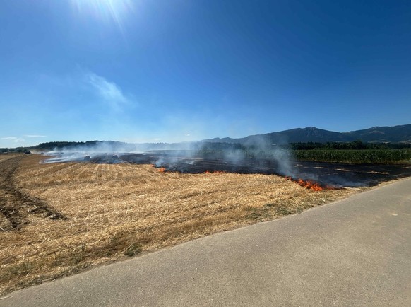 Brand Feld Deitingen SO 11.7.26