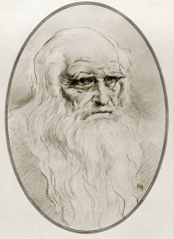 Leonardo di ser Piero da Vinci, 1452 1519, aka Leonardo da Vinci or Leonardo. Italian Renaissance polymath: artist, sculptor, architect, musician, scientist, mathematician, engineer, inventor, anatomi ...