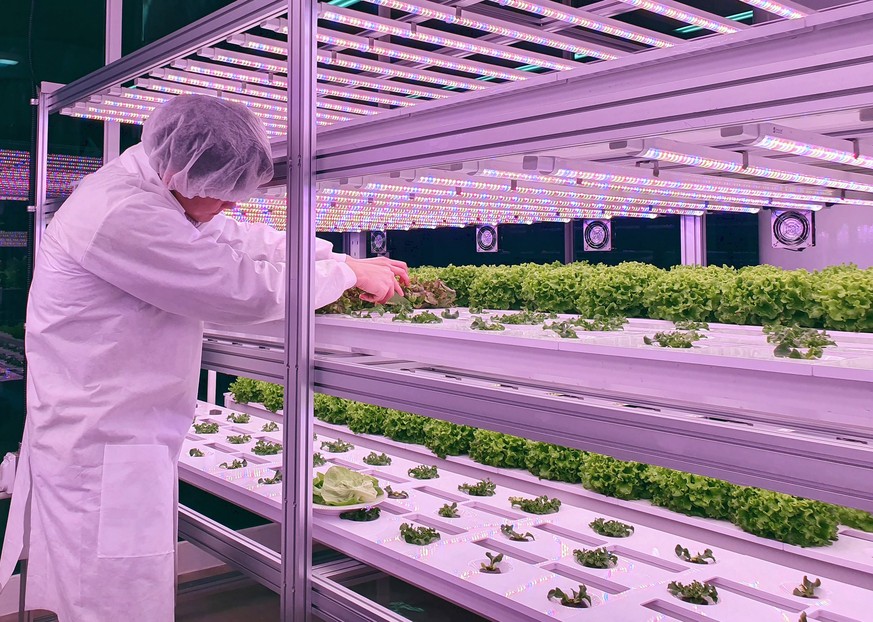 A vertical farmer.