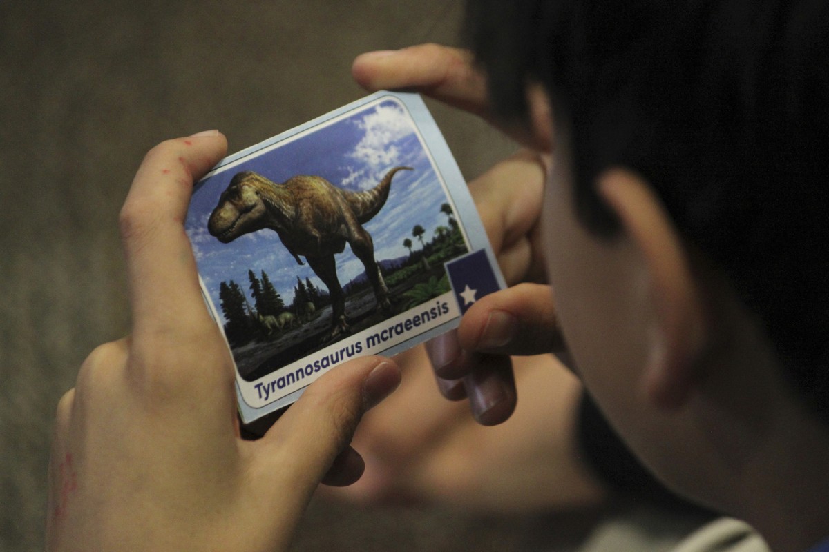 An elementary school student holds a collector card showing a new subspecies of tyrannosaur during a visit to the New Mexico Museum of Natural History and Science in Albuquerque, N.M., on Thursday, Ja ...