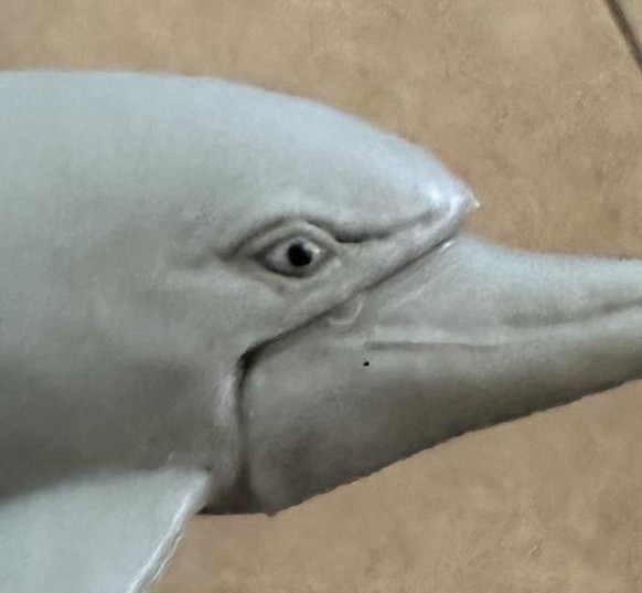 Böser Delfin: Creepy Spielzeug