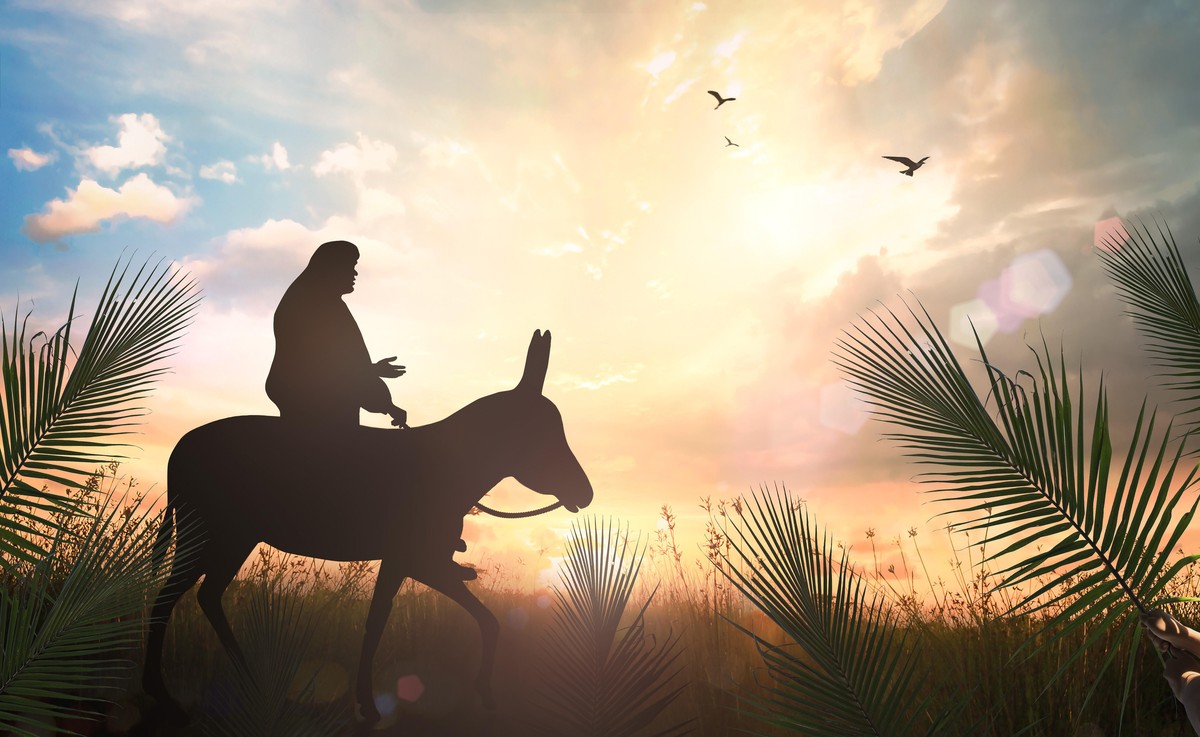 Jesus reitete am Palmsonntag auf einem Esel.