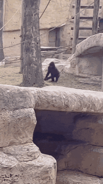 Animiertes GIF
