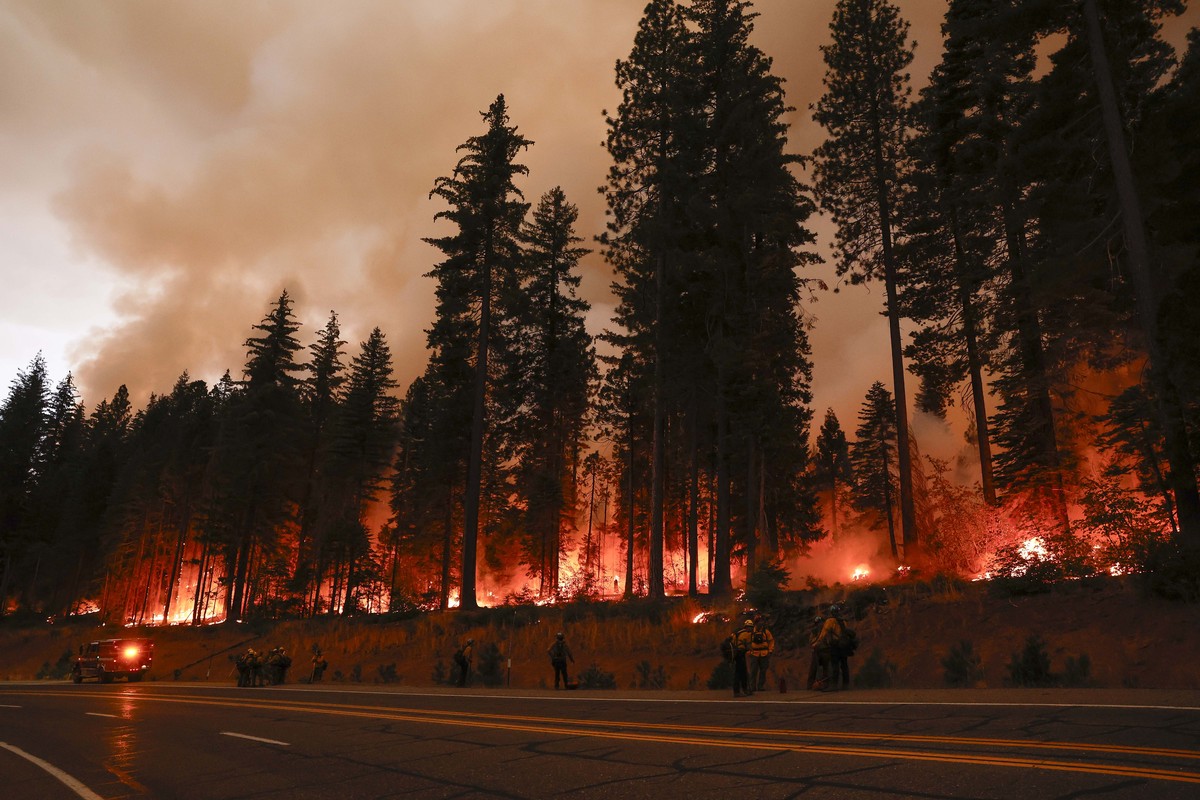 epa11505014 Trees burn from the Park Fire, which has currently burned over 353,194 acres according to the California Department of Forestry and Fire Protection (Cal Fire), in Tehama County, California ...