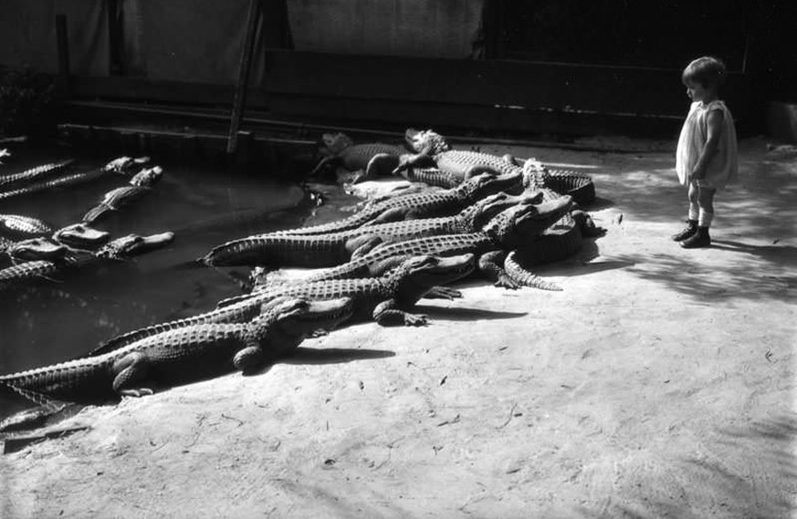 History Porn Teil XXVII: Geschichte in 22 Wahnsinns-Bildern