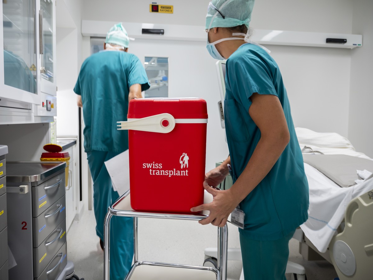 Un rein est transporte dans une glaciere lors d'une transplantation d'organe dans un bloc operatoire du Centre Hospitalier Universitaire Vaudois, CHUV, ce mardi 15 septembre 2020 a Lausanne. ...