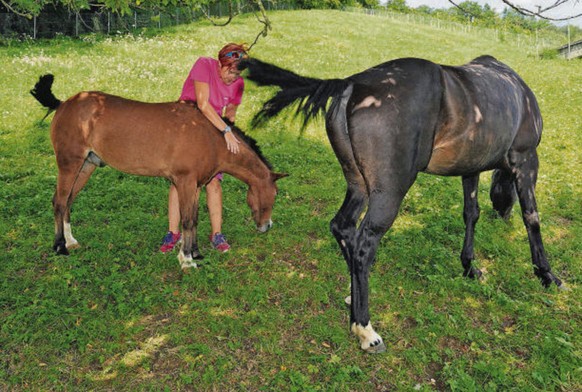 Jasmin Hutter mit zwei der drei Ponies, denen Tierquäler die Schweife abgeschnitten haben.