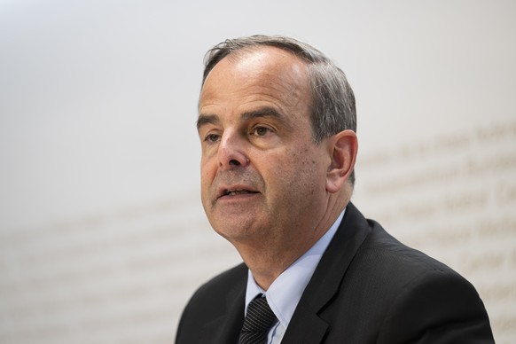 Nationalrat Gerhard Pfister, Praesident Die Mitte spricht waehrend einer Medienkonferenz des Komitees gegen die Biodiversitaesinitiative, am Donnerstag, 13. Juni 2024 in Bern. (KEYSTONE/Anthony Anex)