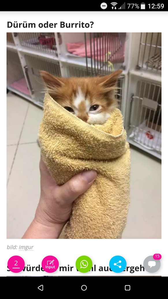 Hopp, hopp ins Wochenende. Mit diesen lustigen Tierbildern┬аЁЯШБ
Es ist ein purrito ЁЯШ║
