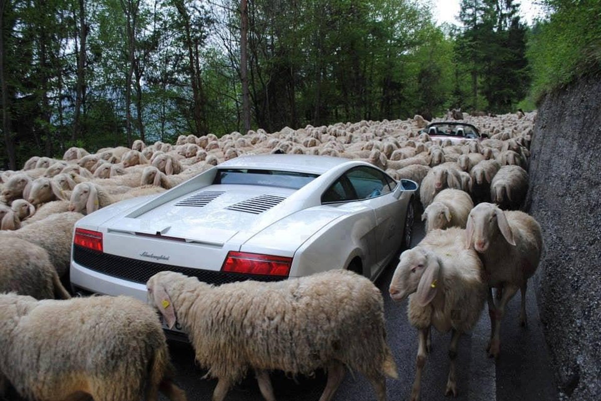 Stau-Bilder für das ultimative Gotthard-Feeling zu Ostern
