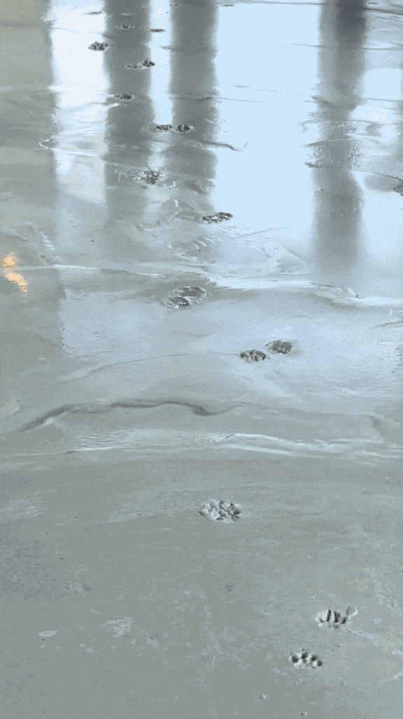 Animiertes GIF