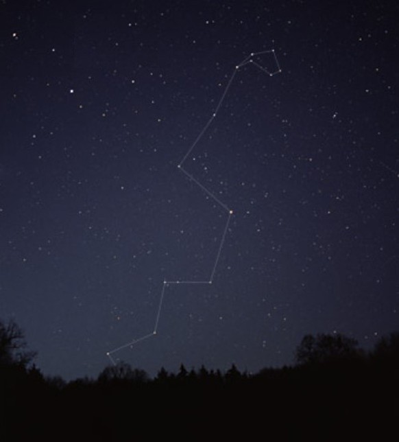 Astronomie Quiz Kannst Du Die Sternbilder Erkennen Watson