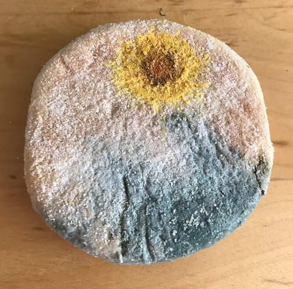 Mold on a muffin
