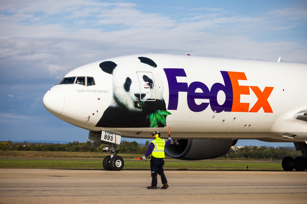 epa11660638 A special FedEx flight called the 'Panda Express' ferrying two giant pandas from China arrives at Dulles Airport in Dulles, Virginia, USA, 15 October 2024. The pandas, Bao Li and ...