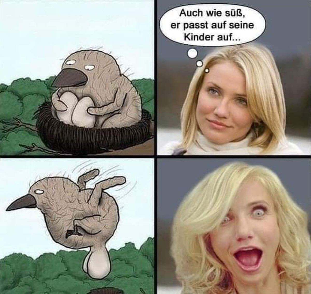 PICDUMP! Wer lässt alles stehen und liegen und klickt mich an? Genau.
Ooh, so sü... 😳