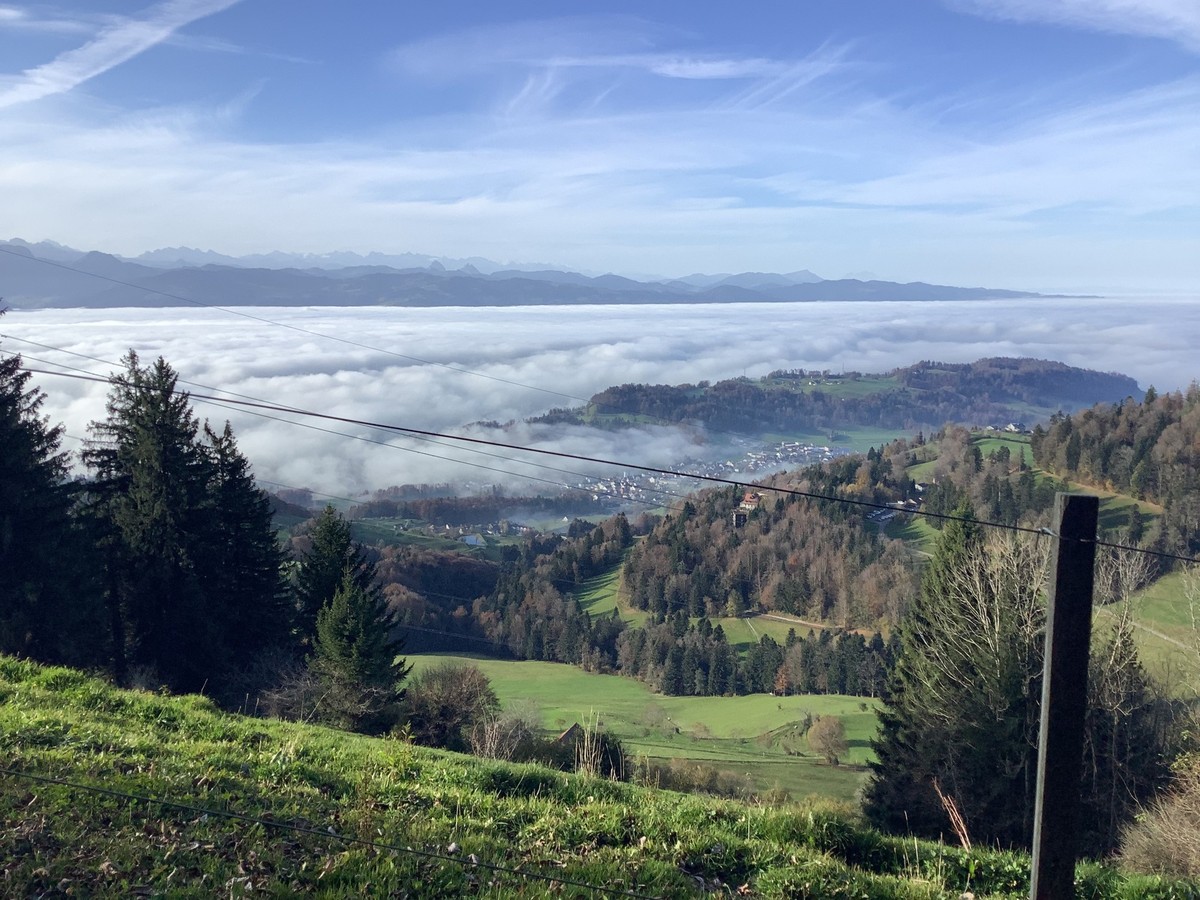 MAZ-Medienwoche Wanderungen Nebel
