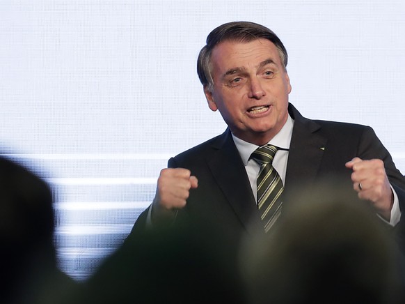 &quot;Das ist Krieg&quot;: Brasiliens ultrarechter Präsident Jair Bolsonaro beschuldigt Umweltschützer wegen Waldbränden.