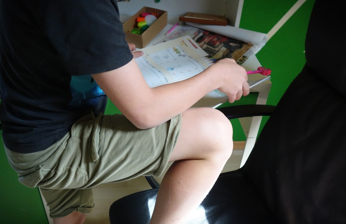 Homeschooling - wie es funktioniert und ob die Kinder gleich viel lernen und soziale Kontakte haben, zeigt ein Besuch bei einer Aargauer Familie.