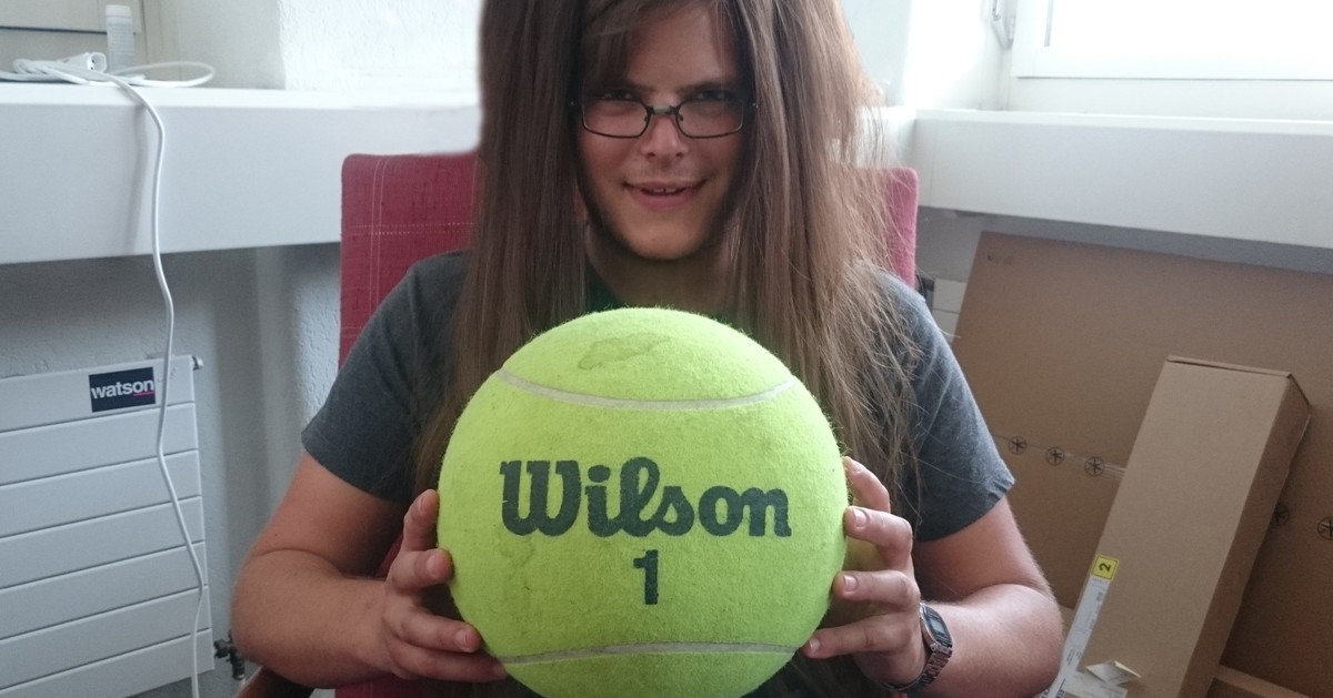 Lieber Herr Federer, hiermit bewerbe ich mich als Lehrerin Ihrer Kinder