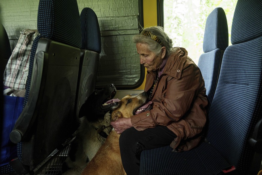A local woman pets her dogs during evacuation from Vovchansk, Ukraine, on Saturday, May 11, 2024. (AP Photo/Evgeniy Maloletka)