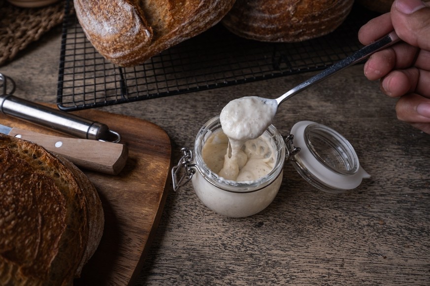 Mutterhefe, besser bekannt als Sauerteig, entsteht durch die natürliche Fermentation von Mehl und Wasser.
