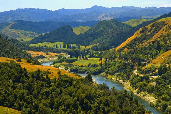 Dieser Fluss wird neu vom neuseeländischen Parlament als Person anerkannt.
