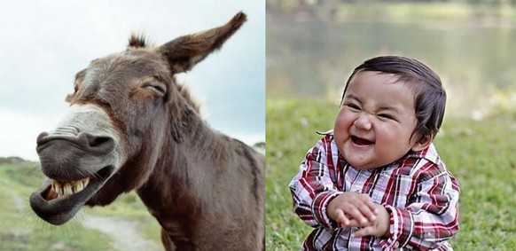 Zum internationalen Tag der Katze gibt es ....ЁЯРИтАНтмЫ\nЁЯШБ
Esen Special :