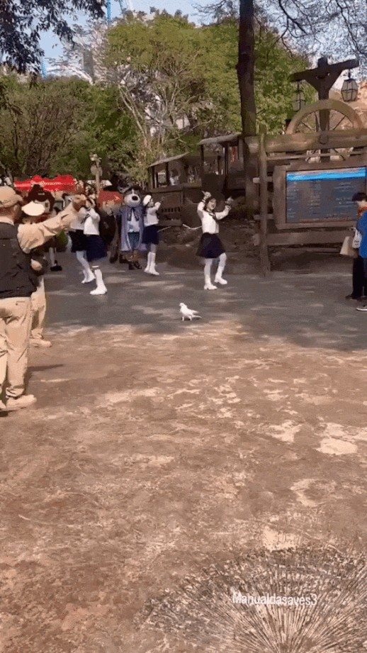 Animiertes GIF