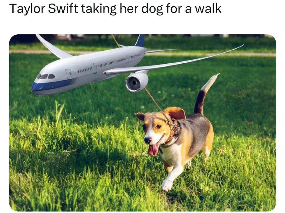 Taylor Swift Meme