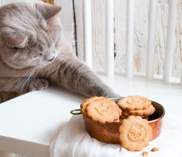 http://fullcravings.tumblr.com/post/151928868692/cinnamon-cat-stamp-cookies-recipe-in-polish